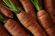 © Paperclip Images/Stocksy - Close Up view of Fresh Carrots