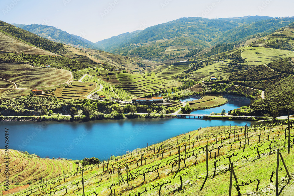 Douro Valley. Vineyards and landscape near Pinhao town, Portugal - obrazy, fototapety, plakaty 
