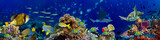 Fototapeta Fototapety do akwarium - colorful wide underwater coral reef panorama banner background with many fishes turtle and marine life / Unterwasser Korallenriff breit Hintergrund