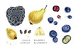 Watercolor set of exotic fruits and ripe berryes. Black sugar apple, white guava, bilberry and  blueberry.  Botanical illustrations isolated on white background. 