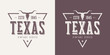 Texas state textured vintage vector t-shirt and apparel design, 