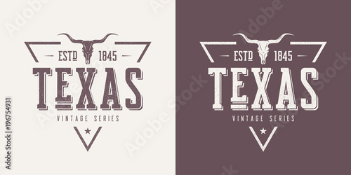 Fotografía Texas state textured vintage vector t-shirt and apparel design,