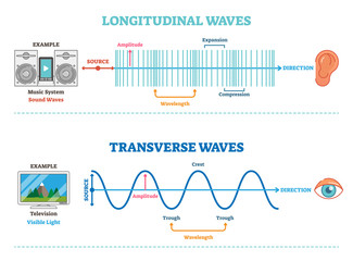 Longitudinal and Transverse wave type, vector illustration scientific diagram. Sonic and visual perception principle. 