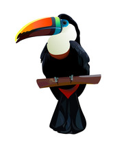 Realistic Toucan Icon Isolated On White Background. Beautiful Silhouette Of A Tropical Bird Sitting On A Tree Branch. Vector Illustration Of Exotic Animal