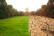 © JAKAWAN - global warming concept image showing the effect of environment climate change By The abundance of drought