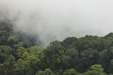 Tropical Rainforest With Mountain And Mist In The Morning At Doi Inthanon National Park, Thailand.