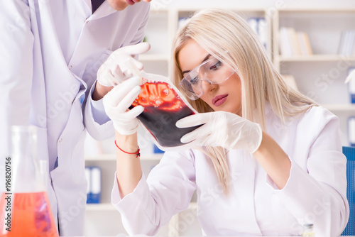 Fotografie, Obraz Woman female doctor looking at blood samples in bag