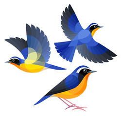 Wall Mural - Stylized Birds - Indian Blue Robin