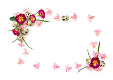 Spring Frame Of Pink Flowers Primrose, Hyacinth And Quail Eggs On White Background With Space For Text. Top View, Flat Lay