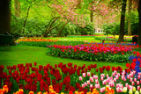 Fototapeta Tulipany - fresh lawn with flowers