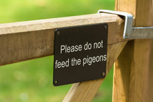 Warning Sign On The Fence With Please Do Not Feed The Pigeons