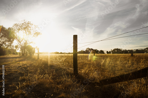 Foto Sunset at a farm in the bush with long fence and flare, Grampians, Victoria, Aus
