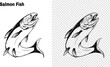 Salmon art highly detailed in line art style.Fish vector by hand drawing.Fish tattoo on white background.Black and white fish vector on white background.Salmon fish sketch for coloring book.