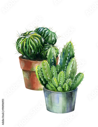 Cacti watercolor isolated on white. Cactus illustration can be used as print,...