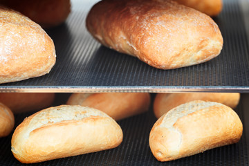 Poster - breads on the shelf in the bakery