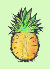 Wall Mural - Hand drawn vector illustration of half pineapple. Colorful design for t-shirt.