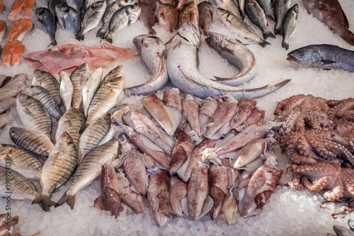 Fotomural Different fresh Fish on the fishpond bench
