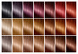 Hair color palette with a range of swatches. Tints. Color chart for hair dye