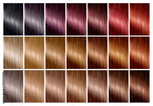 Hair Color Palette With A Range Of Swatches Tints Color Chart