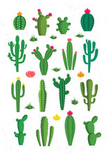 Vector Cactus Icons