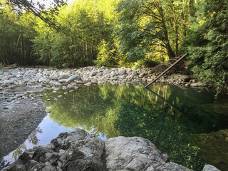 A River or Stream of Clear Water in the Forest