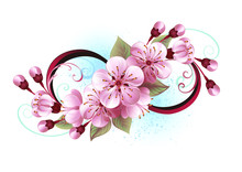 Infinity With Sakura Blossom
