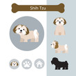 Shih Tzu Dog Breed Infographic,  Front and Side View, Icon