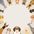 Dog Breeds, Round Frame, Front View, Vector Illustration