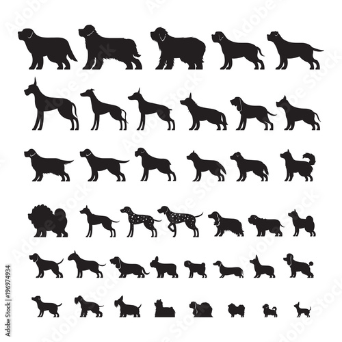 Fotografía Dog Breeds, Silhouette Set, Side View, Vector Illustration