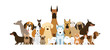 Group of Dog Breeds Illustration, Various Size, Front and Side View, Pet