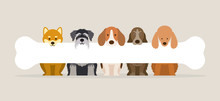 Group Of Dog Breeds Holding Bone, Front View, Pet, Background, Banner 