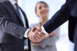 © ASDF - closeup of handshake of business partners