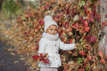 Wall Mural - Child in autumn orange leaves.