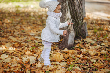 Wall Mural - Child in autumn orange leaves.