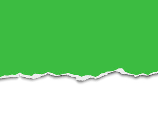 Torn a half sheet of green paper from the bottom on white background. Vector template paper design.