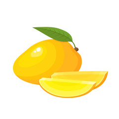 Wall Mural - Bright vector illustration of fresh exotic mango isolated on white