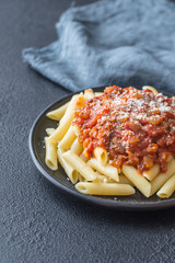 Sticker - Portion of penne with arrabbiata sauce