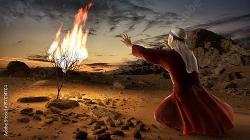 Fotografía Moses and the burning bush