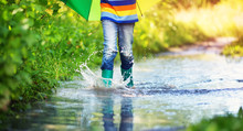 Child Walking In Wellies In Puddle On Rainy Weather. Boy Holding Colourful Umbrella Under Rain In Summer