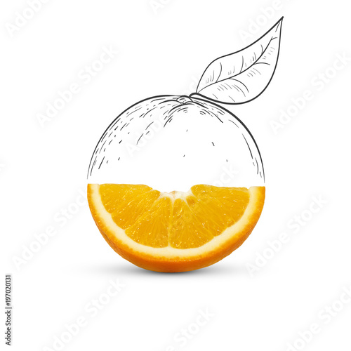 Fruit Composition With Fresh Orange And Cartoon Cute Doodle
