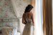 © romannoru - Back view of young bride in beautiful white wedding dress stands in her room in hotel, morning preparation of the bride. Concept of clothes