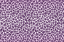 Purple Leopard Fur Texture. Vector
