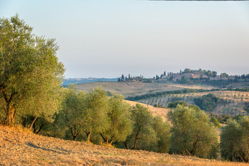 Wall Mural - summer landscape in tuscany, italy