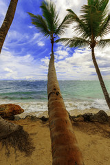 Wall Mural - Caribbean beach.