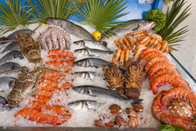 A Beautiful Composition Of Fish And Fresh Seafood With Lemon On Ice