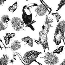 Seamless Pattern Of Hand Drawn Sketch Style Exotic Birds, Plants And Butterflies Isolated On White Background. Vector Illustration.