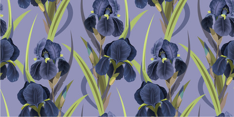 Wall Mural - Seamless floral pattern with irises. Violet irises on a lilac background. Vector illustration . Background for textile, manufacturing, book covers, wallpapers, print or gift wrap. Vector illustration.