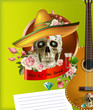 Cinco de mayo card template with mask and maracas illustration.festival poster design. vector