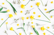 Flowers composition. Spring narcissus and tulip flowers on white background. Flat lay, top view