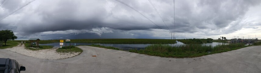 Wall Mural - Everglades Storm